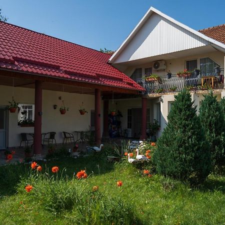 Hotel Denisa & Rares Tasnad Exteriér fotografie