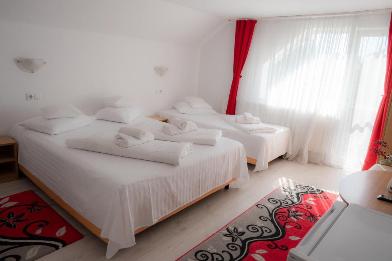 Hotel Denisa & Rares Tasnad Exteriér fotografie