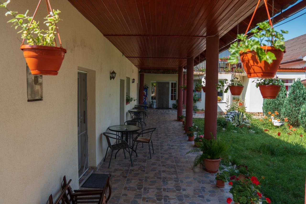 Hotel Denisa & Rares Tasnad Exteriér fotografie